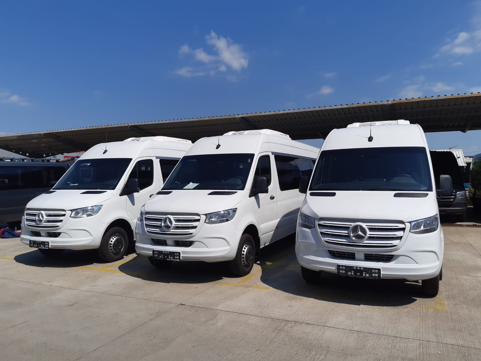 Trei microbuze Mercedes-Benz Sprinter albe, parcate unul lângă altul